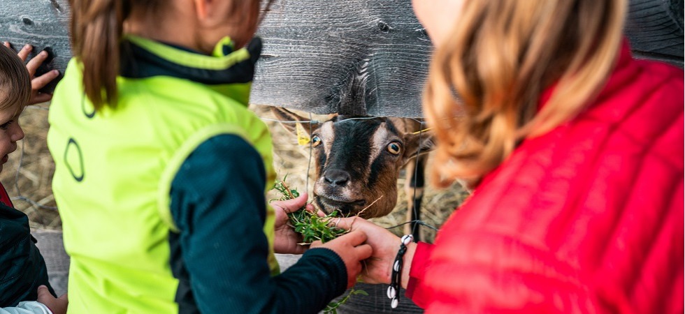 Ritorna la Mostra dell'agricoltura, i padiglioni di Trento Expo aprono i battenti a laboratori